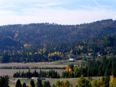 [Looking down at a valley and the hillside in the distance there is cleared land below and a sprinkling of yellow tree leaves amid the otherwise green and brown on the hillside.]